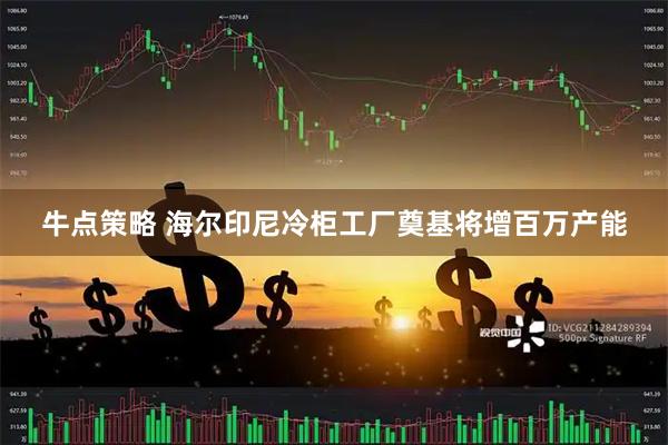 牛点策略 海尔印尼冷柜工厂奠基将增百万产能