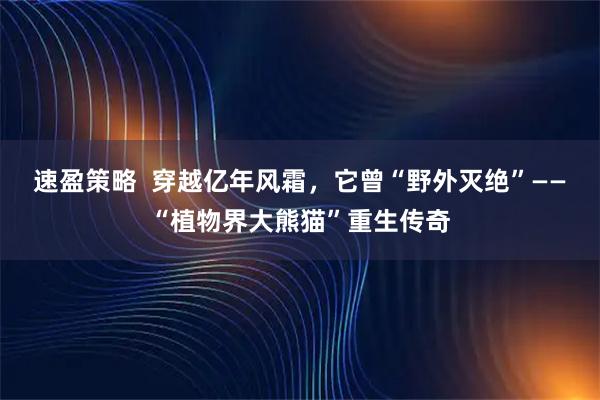 速盈策略 穿越亿年风霜,它曾“野外灭绝”——“植物界大熊猫”重生传奇