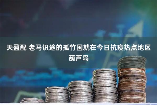 天盈配 老马识途的孤竹国就在今日抗疫热点地区葫芦岛